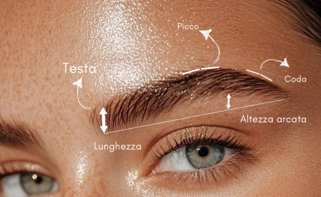 Sopracciglia: dalla storia all’anatomia, tutto quello che un PMU Artist deve sapere