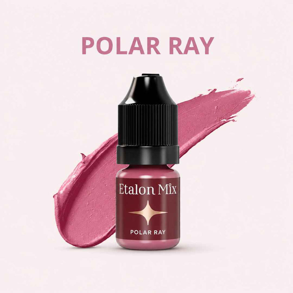 Etalon Mix Favor Lip Set – dettaglio palette nude, rosa, berry, viola e marroni per labbra PMU